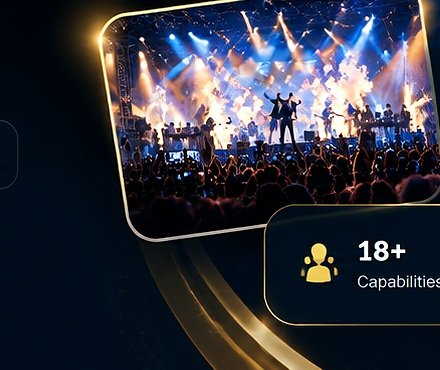 Concert audience experience